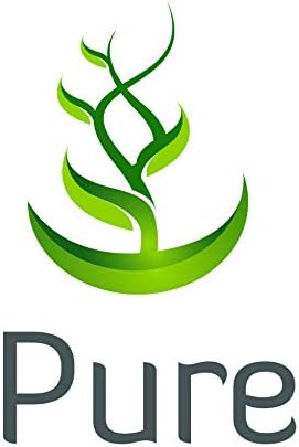 PURE ORIGINAL INGREDIENTS N-Acetyl L-Cysteine (365 Capsules) No Magnesium Or Rice Fillers, Always Pure, Lab Verified