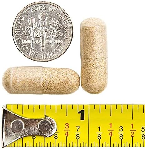 BariatricPal Multivitamin ONE 1 per Day! Bariatric Multivitamin Capsule - Iron Free (30 Count)