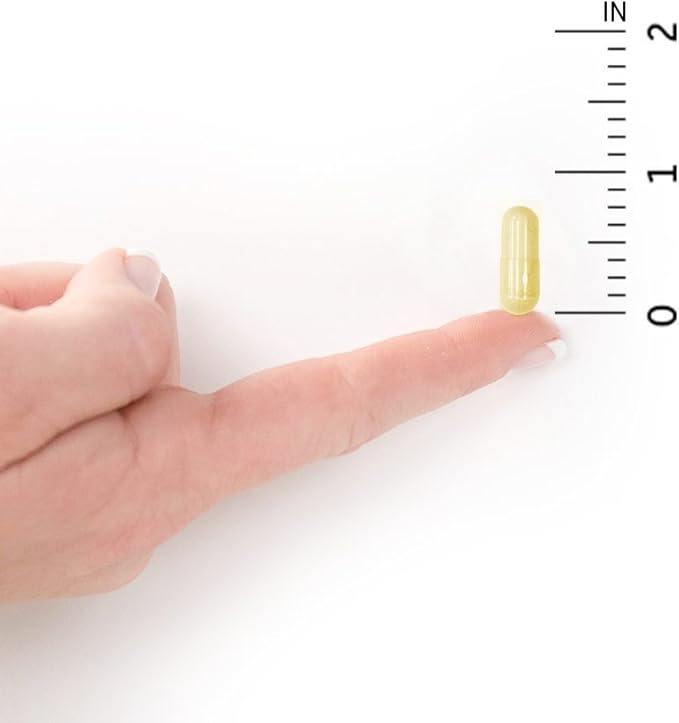 Garden of Life 21 Powerful Digestive Enzymes with Papain, Bromelain, Lipase, Ginger, Turmeric for Complete Digestion of Protein, Carbs & Fats – Omega-Zyme Ultra, Gluten-Free, Vegetarian, 90 Capsules