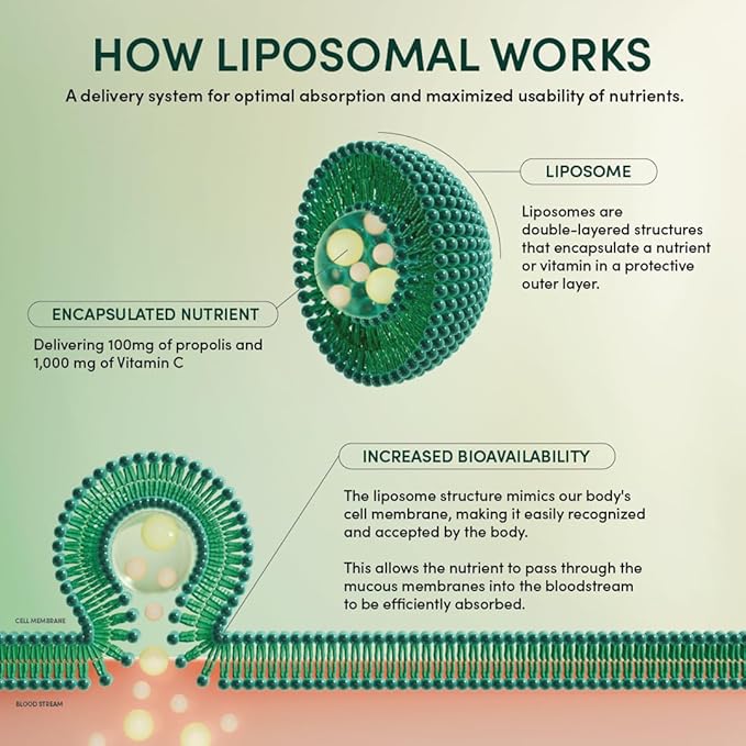 Beekeeper's Naturals Propolis Liposomal with Vitamin C Effective Bio-Available Immune Support Delivery, 30 Ct