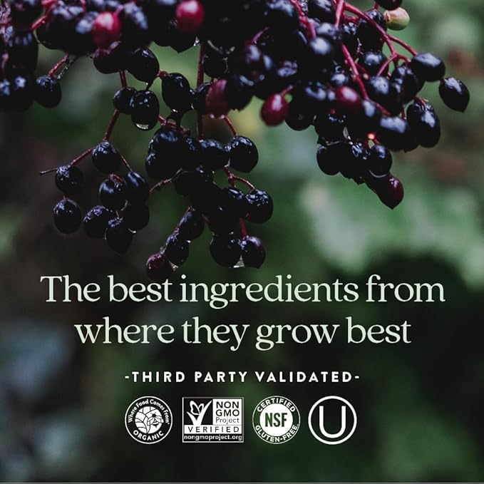 New Chapter Women's Multivitamin for Immune, Beauty + Energy Support with Fermented Nutrients - Every Woman's One Daily, Made with Organic Vegetables & Herbs, Non-GMO, Gluten Free, 48 Count