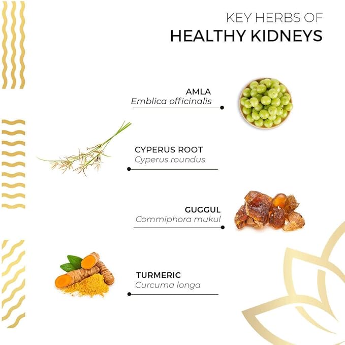 Kerala Ayurveda Healthy Kidney Herbal Tablets | Support Normal Kidney Function and Health | Kidney and Bladder Support | Urinary System Support - 90 Count