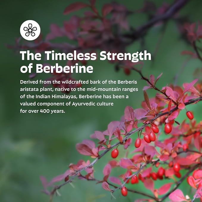 Earth's Splendor Berberine 500mg Capsules, Dietary Supplement, Supports Sugar Metabolism (120ct Bottle, 2 Month Supply) Non-GMO, Vegan-Friendly