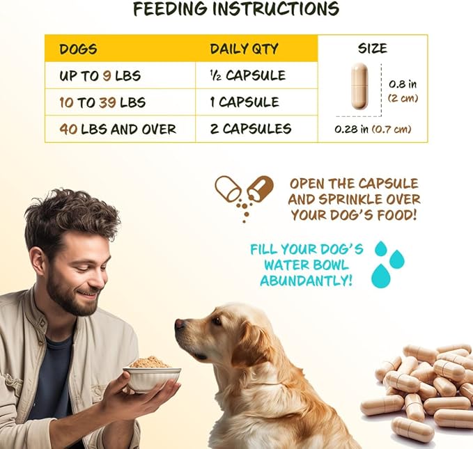 FiberSyl Ovatasyl Prebiotics for Dogs Digestive Health - Dog Fiber Supplements for Constipation Relief & Support - Psyllium Husk Seed for Dog' Digestion Problems - Dog Stool Hardener - 60 Capsules