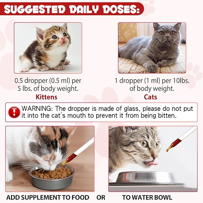 Liquid Iron for Cats, Liquid Iron Drops for Cats Supports Anemia, Low Enery Levels and Lethargy Cats- Improve Energy Levels & Vitality, Pet Supplies Cat Vitamin Supplement, Caramel Flavor - 2 fl.oz
