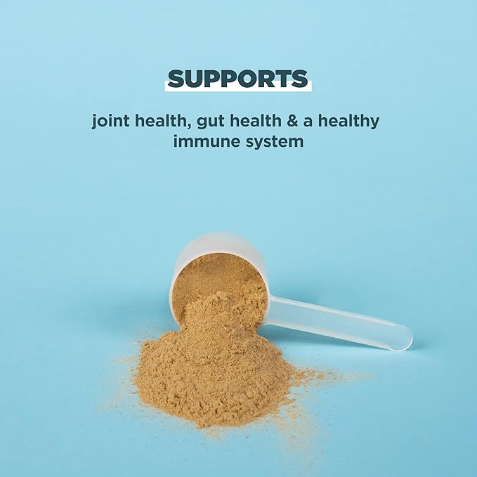 Ancient Nutrition Protein Powder Made from Real Bone Broth, Chocolate, 20g Protein Per Serving, 20 Serving Tub, Gluten Free Hydrolyzed Collagen Peptides Supplement, Great in Protein Shakes