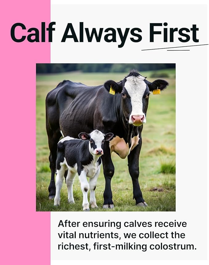 Cowabunga Colostrum - Premium, Pure & Unaltered Colostrum Powder Supplement - for Immune Support, Gut Health, Muscle Recovery & Wellness with Supergut - Kosher & Halal Certified Calostro