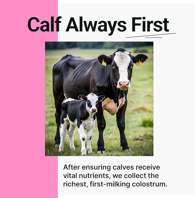 Cowabunga Colostrum - Premium, Pure & Unaltered Colostrum Powder Supplement - for Immune Support, Gut Health, Muscle Recovery & Wellness - Kosher & Halal Certified Calostro