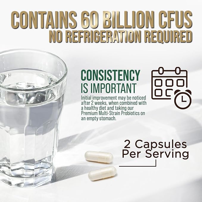 Daily Probiotic and Acidophilus Prebiotics Supplement 60 Billion CFU Capsule for Women & Men - 10 Strains Plus Digestive Enzymes - for Bloating Gas & Gut & Immune Health Support - 120 Capsules