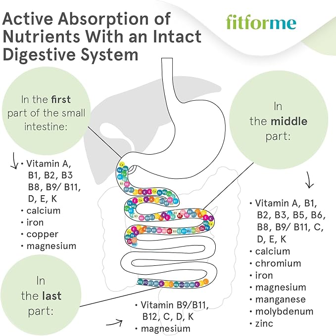 Bariatric Multivitamins with Iron - Capsules After Gastric Bypass - One a Day WLS Forte Capsule Starter Pack - 10 Days Supply of Vitamins & Minerals, Scientifically Proven