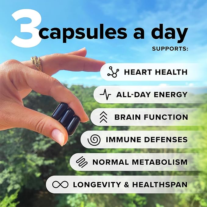 Complement Bundle- Vegan Multivitamin (90 Capsules) & Triple B12 Spray (60 Servings) - Complete Nutrition with Omega 3, Vitamins D3 K2, Zinc, Magnesium & Raspberry- Flavored B12 for Energy & Health