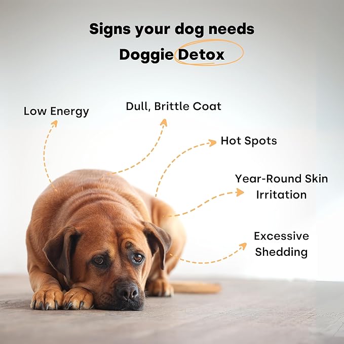Kayode Doggie Detox - Dog Itching Skin Relief & Skin Soother | Helps Reduce Inflammation Causing Itching & Excessive Shedding. Improve Gut Immunity with 1 BIl CFU Probiotics, Omegas, & Bee Pollen.
