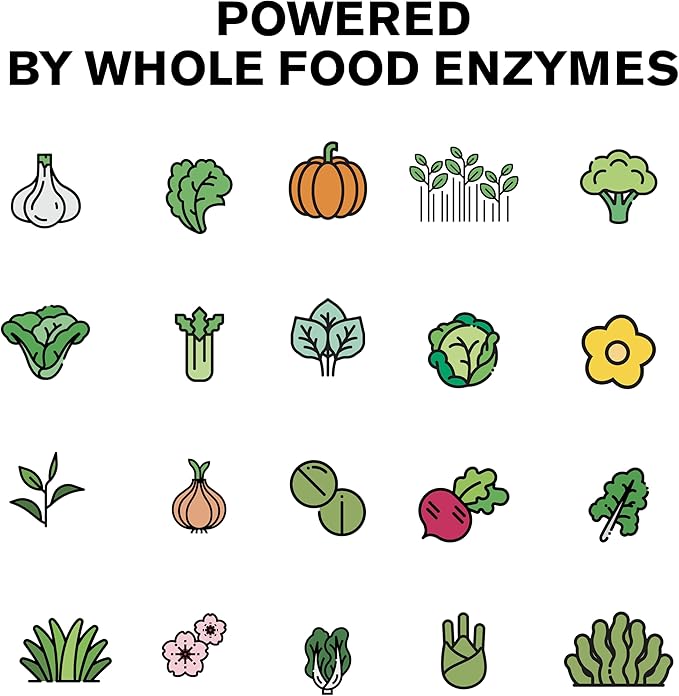 Wild Prebiotics and Probiotics with Digestive Enzymes | 20 Billion CFU - 10 Strains for Women & Men | Support Gut Health & Digestion Supplements | Non-GMO Prebiotic Fiber | 30 Capsules