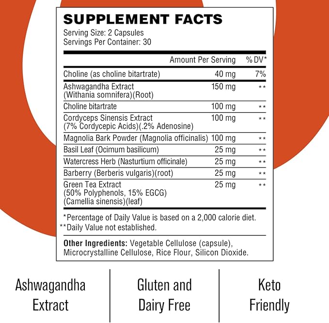 Wellthy Revive Stress Support Capsules - Boost Energy and Improve Mental Wellness (60 Count)
