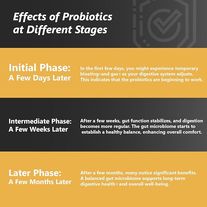 Probiotics with Prebiotics for Men and Women - 35 Strains Organic Probiotic 100 Billion CFU for Gut & Digestive Health, Vegan Acidophilus Probiotic Supplement, Non-GMO Raw Probiotic 60 Capsules