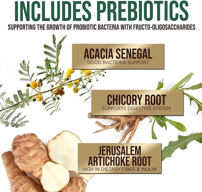 Daily Probiotic and Acidophilus Prebiotics Supplement 60 Billion CFU Capsule for Women & Men - 10 Strains Plus Digestive Enzymes - for Bloating Gas & Gut & Immune Health Support - 120 Capsules