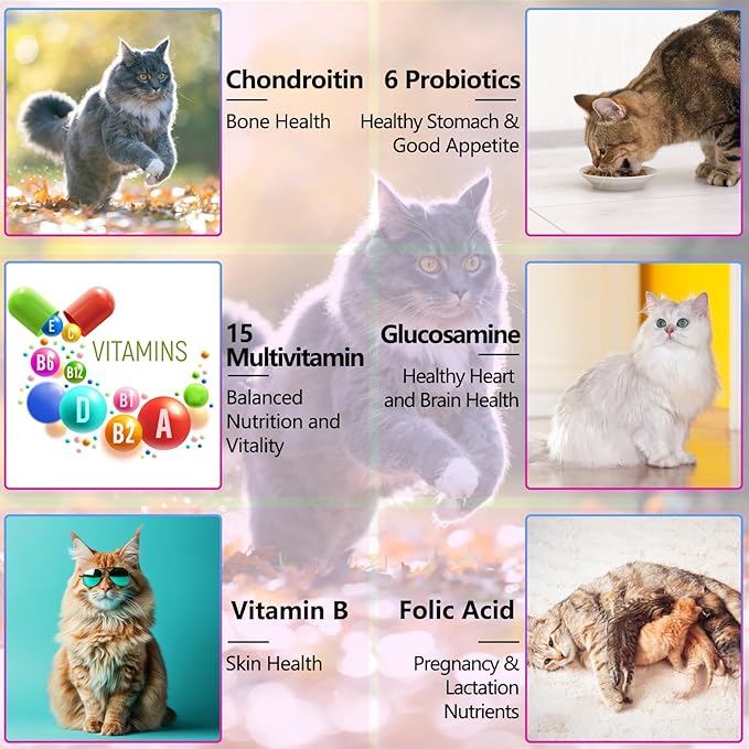 Cat Multivitamin - 15 in 1 Multivitamin Drops for Cats, Cat Supplements Vitamins with Glucosamine & MSM Supports Joint Care, Skin & Coat, Pets Supplies Vitamins for Cats, Bacon Flavor - 2 Fl Oz / 60ml
