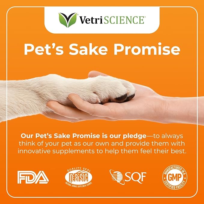 VetriScience GlycoFlex Plus Hip and Joint Supplement for Small Dogs - Extra-Strength Joint Support Chews for Dogs Under 30 Pounds, with Green Lipped Mussel, Chondroitin, and Glucosamine for Dogs