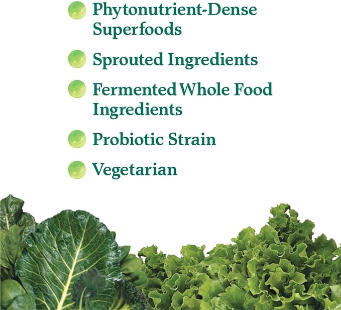 Garden Of Life Whole Food Vegetable Supplement - Perfect Food Green Superfood Dietary Powder, 600g