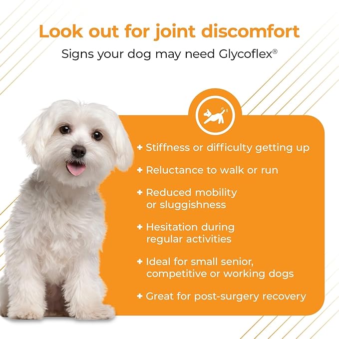 VetriScience GlycoFlex Plus Hip and Joint Supplement for Small Dogs - Extra-Strength Joint Support Chews for Dogs Under 30 Pounds, with Green Lipped Mussel, Chondroitin, and Glucosamine for Dogs