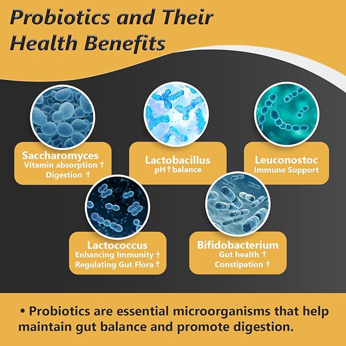 Probiotics with Prebiotics for Men and Women - 35 Strains Organic Probiotic 100 Billion CFU for Gut & Digestive Health, Vegan Acidophilus Probiotic Supplement, Non-GMO Raw Probiotic 60 Capsules