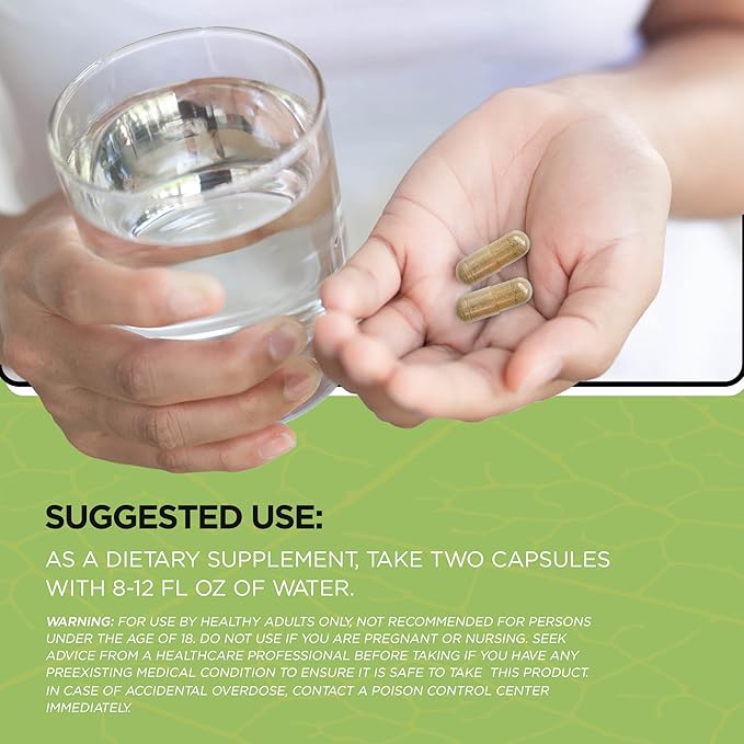 Wellness Supplement (30 Capsules) - Ginger, Elderberry, Vitamin C, and Zinc Blend to Support Immune Health and antioxidant Levels, Boost Immunity, Vegan, Non-GMO, Sugar Free