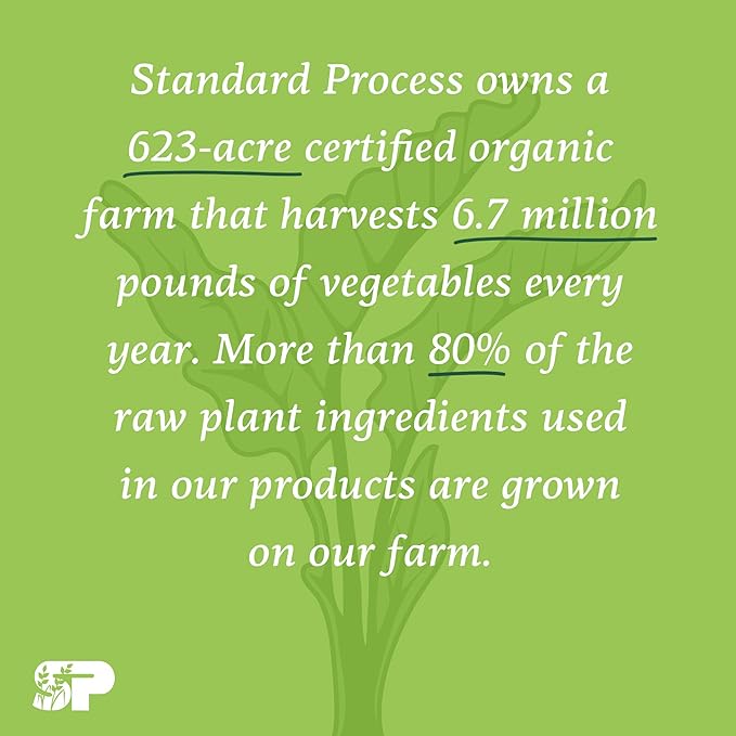 Standard Process Catalyn Chewable - Foundational Support for General Wellbeing with Vitamin D, Vitamin C, Vitamin A, Thiamine, Riboflavin, Vitamin B6, Magnesium Citrate, and More - 90 Tablets