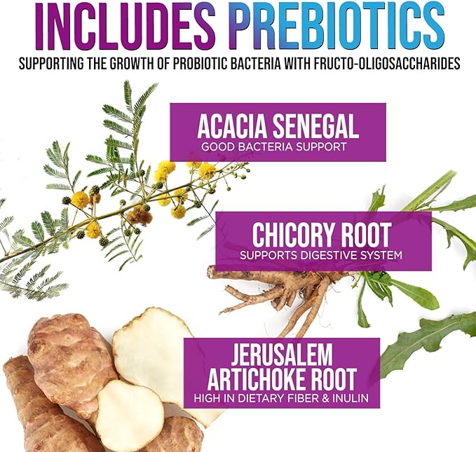 Daily Probiotic and Acidophilus Supplement 60 Billion CFU 10 Strains Capsule for Women & Men - Digestive Gut & Immune Health Support - Supports Occasional Constipation, Gas & Bloating - 60 Capsules