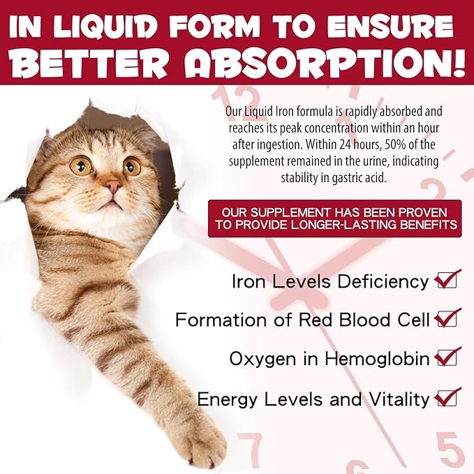 Liquid Iron for Cats, Liquid Iron Drops for Cats Supports Anemia, Low Enery Levels and Lethargy Cats- Improve Energy Levels & Vitality, Pet Supplies Cat Vitamin Supplement, Caramel Flavor - 2 fl.oz