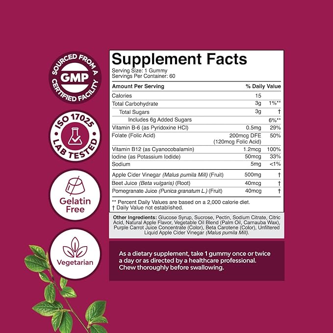 Apple Cider Vinegar Gummies with the Mother-Natural Energy Supplement ACV Gummies with Mother for Body Cleanse Immune Support and Gut Health-Delicious Gummy ACV Supplement with Beet Root Powder 2 pack