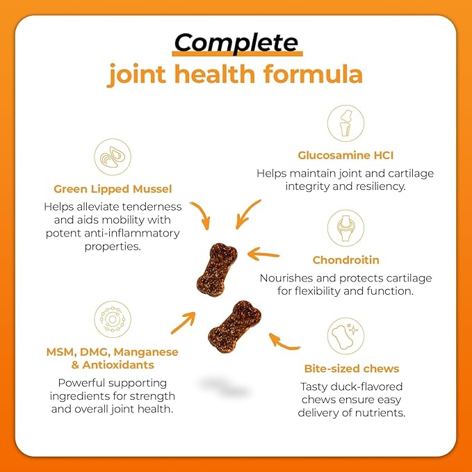 VetriScience GlycoFlex Plus Hip and Joint Supplement for Small Dogs - Extra-Strength Joint Support Chews for Dogs Under 30 Pounds, with Green Lipped Mussel, Chondroitin, and Glucosamine for Dogs