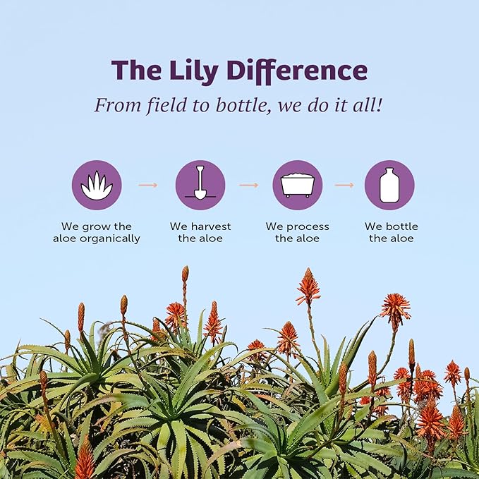 Lily of the Desert Aloe Vera Gel - Inner Fillet Thicker Consistency Aloe Vera Drink with Natural Vitamins,Digestive Enzymes for Gut Health, Stomach Relief, Wellness, Glowing Skin, 32 Fl Oz (Pack of 2)