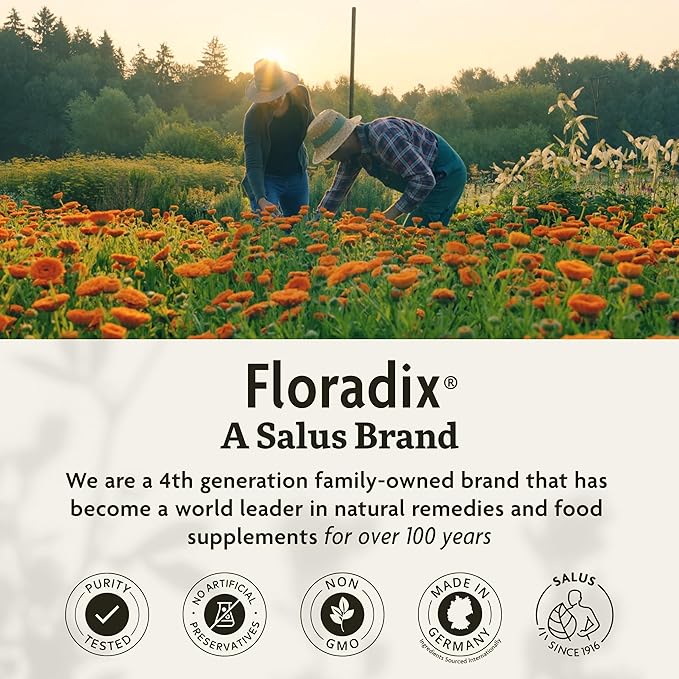 Floradix Floravital Liquid Iron & Vitamins Formula - Liquid Iron Supplement with B Complex Vitamins, Vitamin C & Herbs for Energy Support - Vegan, Gluten-Free, Yeast- Free, Non-GMO - 8.5 oz