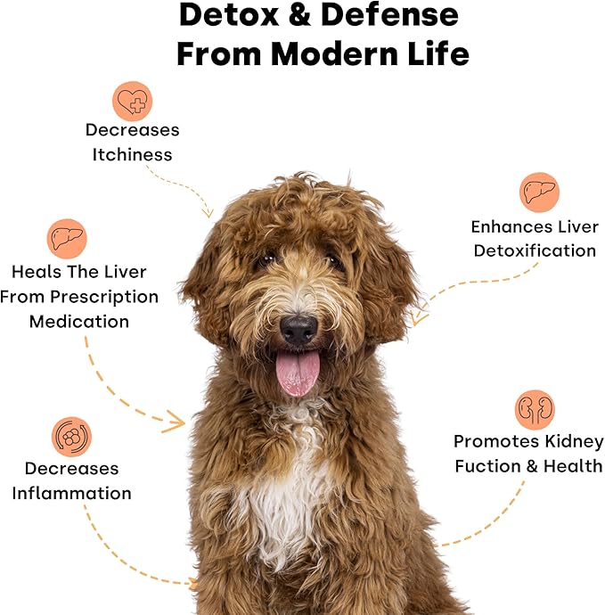 Kayode Doggie Detox - Dog Itching Skin Relief & Skin Soother | Helps Reduce Inflammation Causing Itching & Excessive Shedding. Improve Gut Immunity with 1 BIl CFU Probiotics, Omegas, & Bee Pollen.