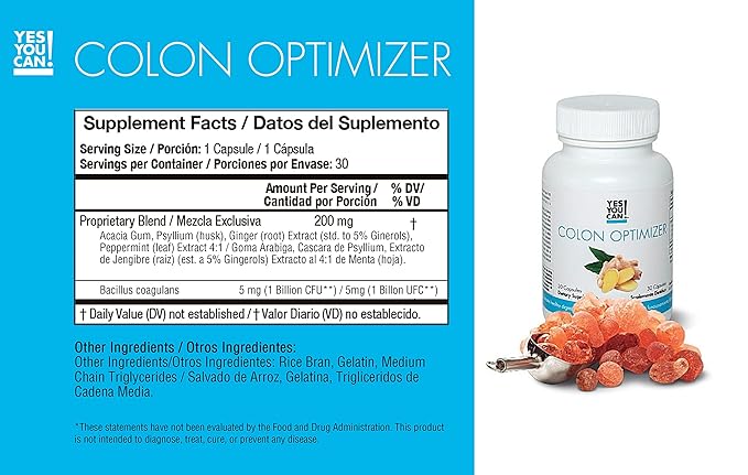 Yes You Can! Transform Kit Complete Meal Replacement - Contains Meal Replacement Powder Shake and Natural Meal Replacement Supplements, Nutritional Healthy Meals Replacement (Chocolate - 60 Servings)