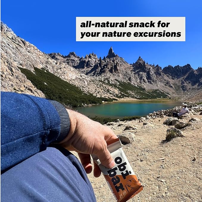 Obi Bar Chocolate - Protein and Oat Fiber Bar | All Natural | Meal Bar | Heart and Gut Health | Lightly Sweet | Chocolate Brownie | Almond Chunks | Soy Free, Dairy Free | Ideal Meal Replacement Bar