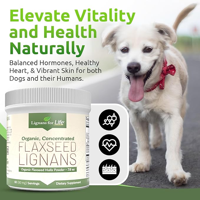 Lignans for Life - Natural Bulk Ground Flaxseed Powder - Omega 3 & 6 Fatty Acids Filled High Fiber Antioxidants - Support Healthy Heart & Hair, Healthy Immune System - 60 Servings 80mg per tab, 2 Pack