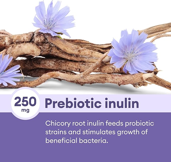 Physician's CHOICE Prebiotic-Probiotic - Multi-Strain Probiotics & Synergistic Prebiotics -Designed for Digestive Health, Supporting Gut Microbiome - Powerful PrePro for Gut Health - for Women & Men