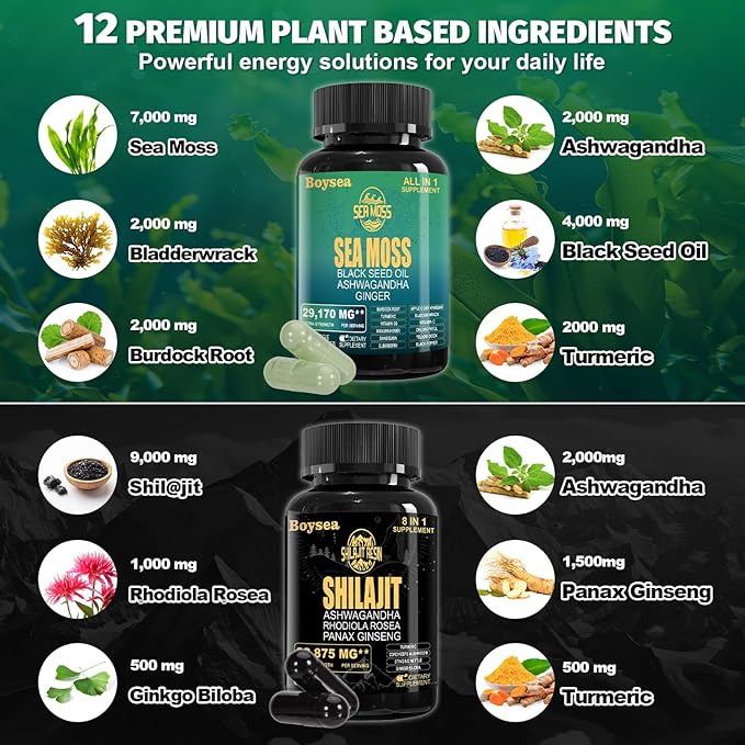 Boysea.Shilajit and Sea Moss Bundle - Sea Moss (7000mg), Ashwagandha (2000mg), Black Seed Oil (4000mg), Ginger & Shilajit (9000mg), Rhodiola Rosea (1000mg) – 90 Count (1 Pack)