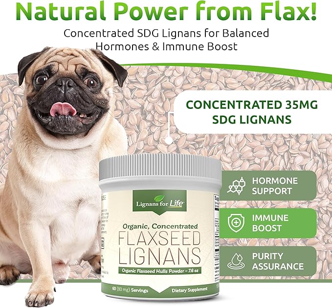 Lignans for Life - Natural Bulk Ground Flaxseed Powder - Omega 3 & 6 Fatty Acids Filled High Fiber Antioxidants - Support Healthy Heart & Hair, Healthy Immune System - 60 Servings 80mg per tab, 2 Pack