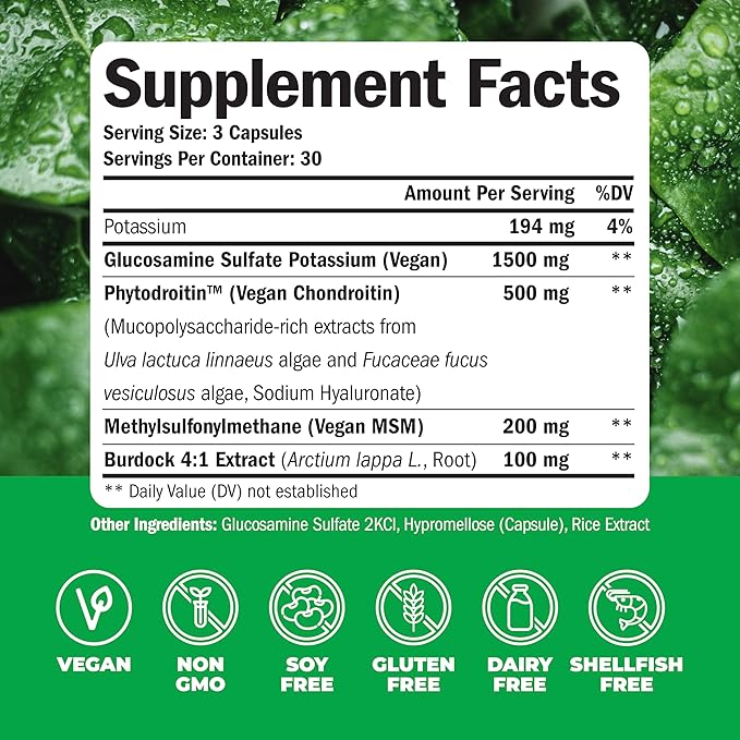 Vegan Glucosamine Chondroitin MSM - 100% Vegan Joint Support Supplement for Women & Men with Burdock and Glucosamine Sulfate 1500 mg. Used for Cartilage and Joint Health and Flexibility - 2 Pack