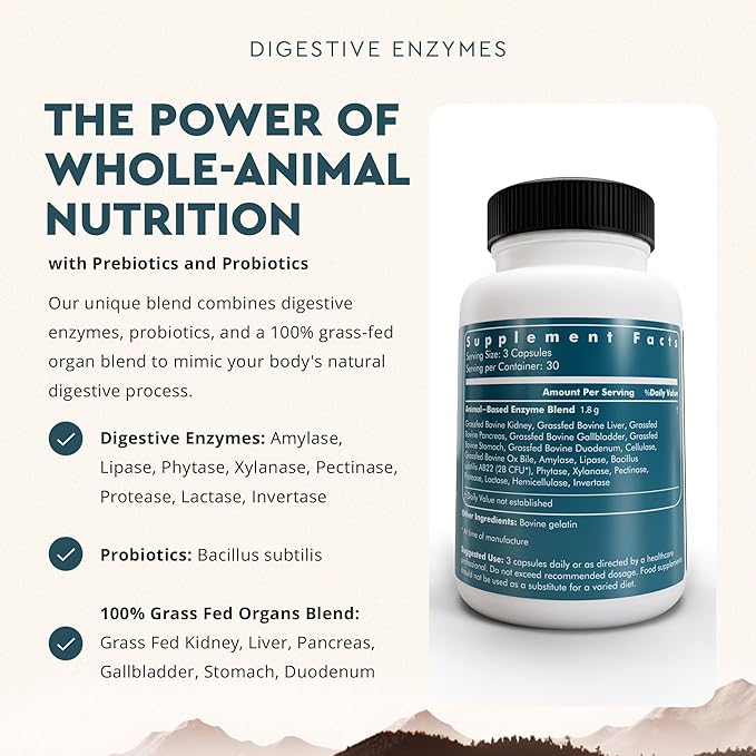 Ancestral Supplements Digestive Enzymes for Women & Men, 90 Capsules, with Probiotics and Grass Fed Beef Organs, Supports Gut Health, Digestive Health & Nutrient Absorption, Allergen Free, Non GMO