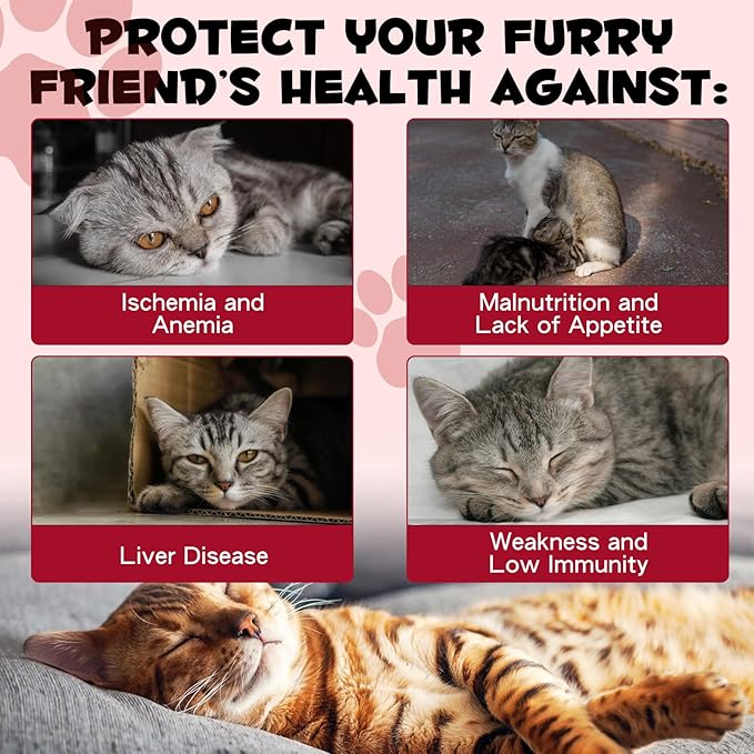 Liquid Iron for Cats, Liquid Iron Drops for Cats Supports Anemia, Low Enery Levels and Lethargy Cats- Improve Energy Levels & Vitality, Pet Supplies Cat Vitamin Supplement, Caramel Flavor - 2 fl.oz