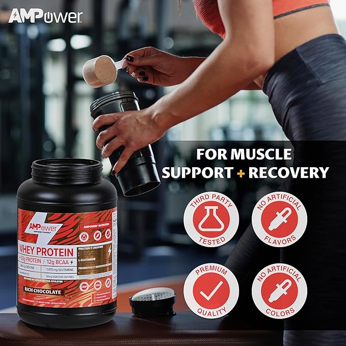 Chocolate Whey Protein Powder | Scientifically-Designed Optimum Muscle Stack, Gut, Brain, Immune | Protein, BCAA, Creatine, L-Glutamine, Probiotics, Digestive Enzymes | Rich Chocolate, 38.9oz