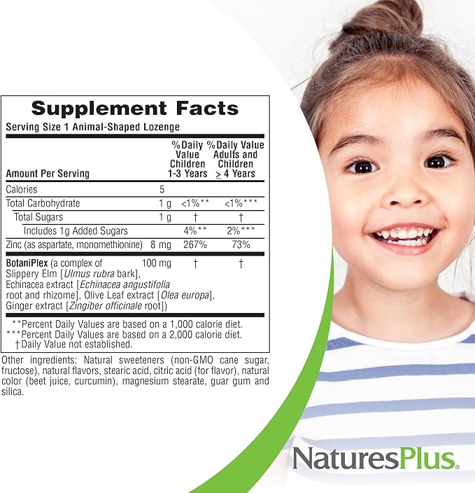 NaturesPlus Animal Parade KidZinc, Tangerine Flavor - 90 Animal-Shaped Lozenges - Organically Chelated Zinc - Vegan, Gluten Free - 90 Servings