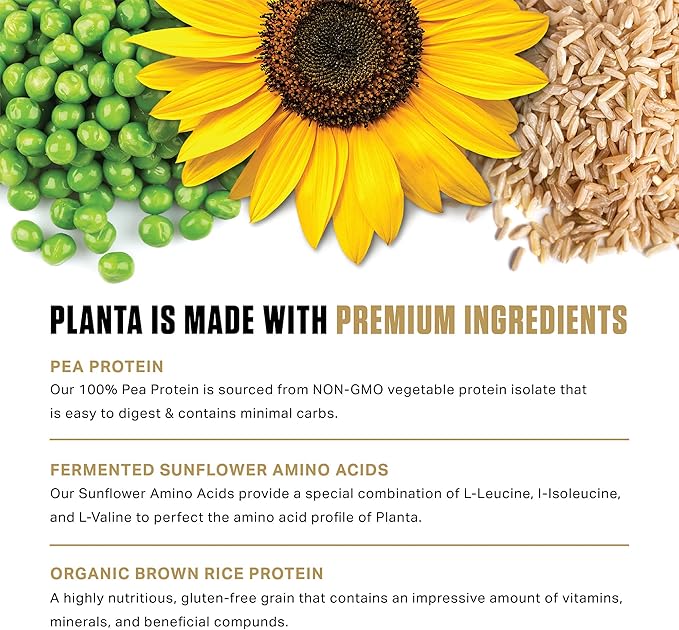 Ambrosia Planta - Premium Organic Plant-Based Protein | Vegan & Keto Friendly | Gourmet Flavors with No Bloating or Stomach Upset | Gluten & Soy Free | No Added Sugar | 25 Servings | Sprinkle Cupcake