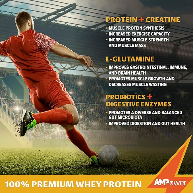 Chocolate Whey Protein Powder | Scientifically-Designed Optimum Muscle Stack, Gut, Brain, Immune | Protein, BCAA, Creatine, L-Glutamine, Probiotics, Digestive Enzymes | Rich Chocolate, 38.9oz