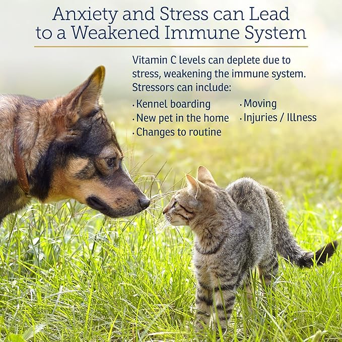Rx Vitamins Bio-C - Vitamin C for Dogs and Cats - with Lemon Bioflavonoids for Dog Allergy Relief - Immune Support Supplement - Promotes Dogs Healthy Coat and Skin - Joint Supplement for Dogs - 4 oz