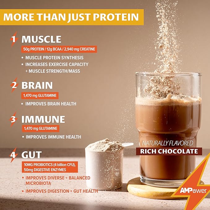 Chocolate Whey Protein Powder | Scientifically-Designed Optimum Muscle Stack, Gut, Brain, Immune | Protein, BCAA, Creatine, L-Glutamine, Probiotics, Digestive Enzymes | Rich Chocolate, 38.9oz