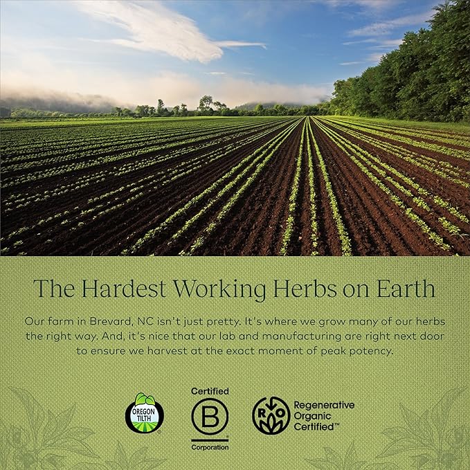 Gaia Herbs Thyroid Support - Made with Ashwagandha, Kelp, Brown Seaweed, and Schisandra to Support Healthy Metabolic Balance and Overall Well-Being - 120 Vegan Liquid Phyto-Capsules (40-Day Supply)